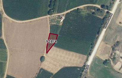 C21 LOCA'DAN DEREKÖY'DE TARLA 