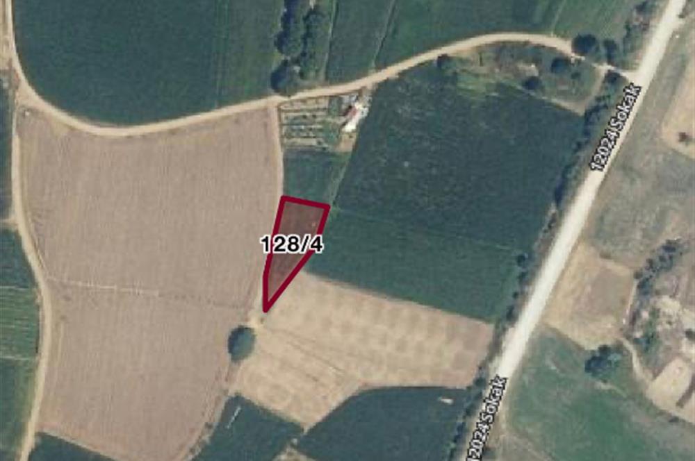 C21 LOCA'DAN DEREKÖY'DE TARLA 