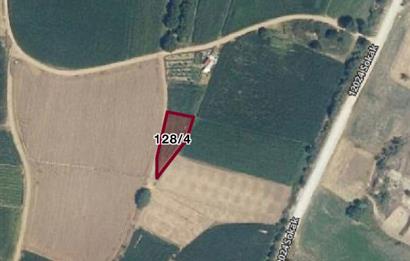 C21 LOCA'DAN DEREKÖY'DE TARLA 