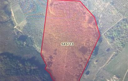 SAKARYA FERİZLİ TEBERİK MAHALLESİ SATILIK  TARLA