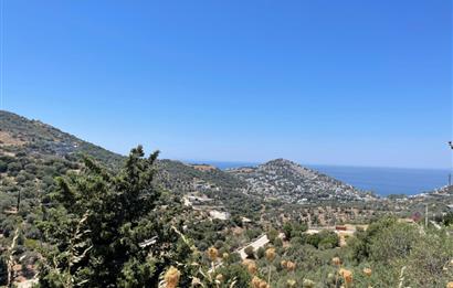 Bodrum Yalıkavak Geriş'te Satılık İmarlı Arsa