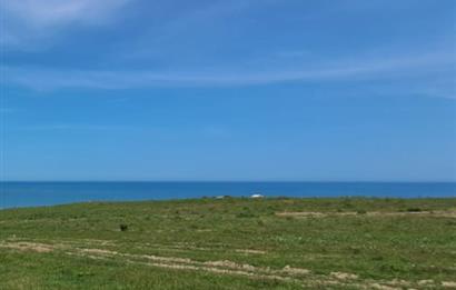 AKPINAR DA SATILIK 7000 M2 ARSA