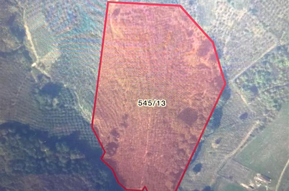 SAKARYA FERİZLİ TEBERİK MAHALLESİ SATILIK  TARLA