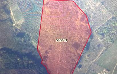 SAKARYA FERİZLİ TEBERİK MAHALLESİ SATILIK  TARLA