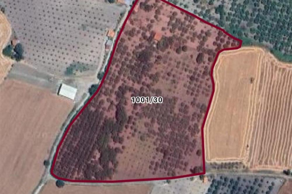 SAVAŞTEPE İSTİKLAL'DE SATILIK TARLA 