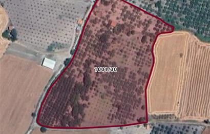 SAVAŞTEPE İSTİKLAL'DE SATILIK TARLA 