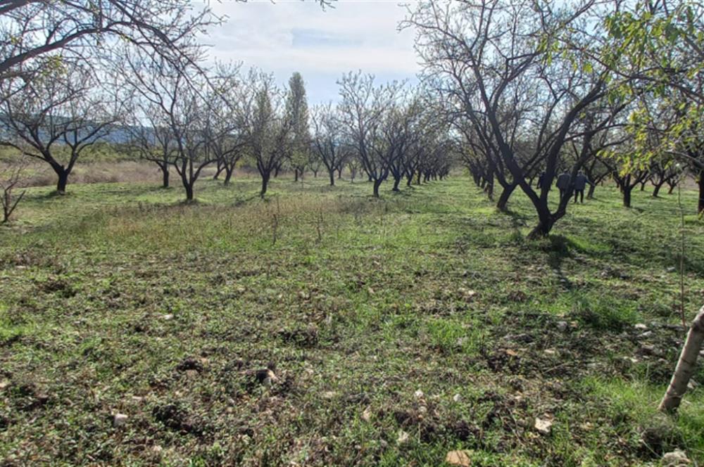 SAVAŞTEPE İSTİKLAL'DE SATILIK TARLA 