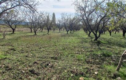 SAVAŞTEPE İSTİKLAL'DE SATILIK TARLA 