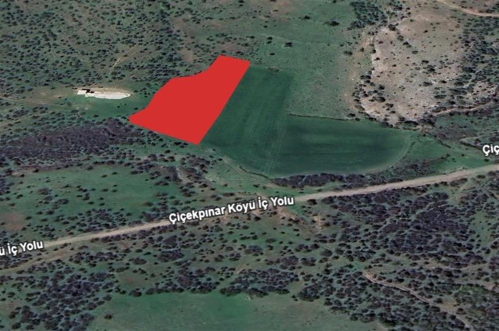 Century21 Bal'dan Altıeylül Nergiz Mahallesinde Satılık Tarla