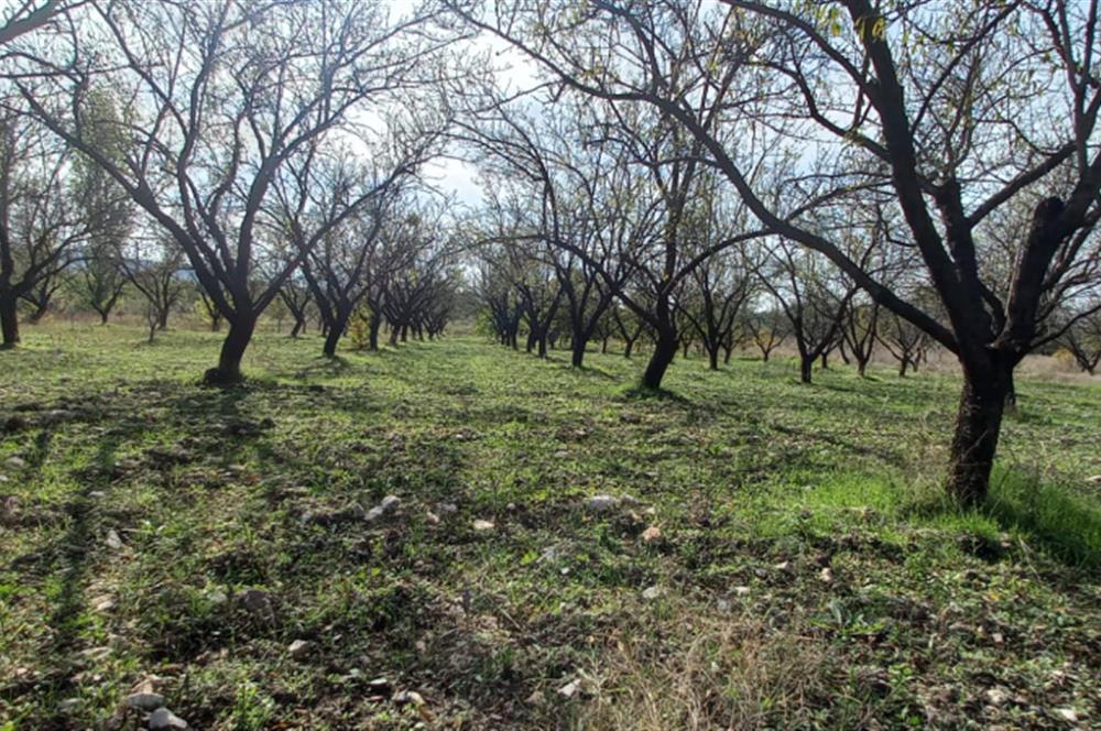 SAVAŞTEPE İSTİKLAL'DE SATILIK TARLA 