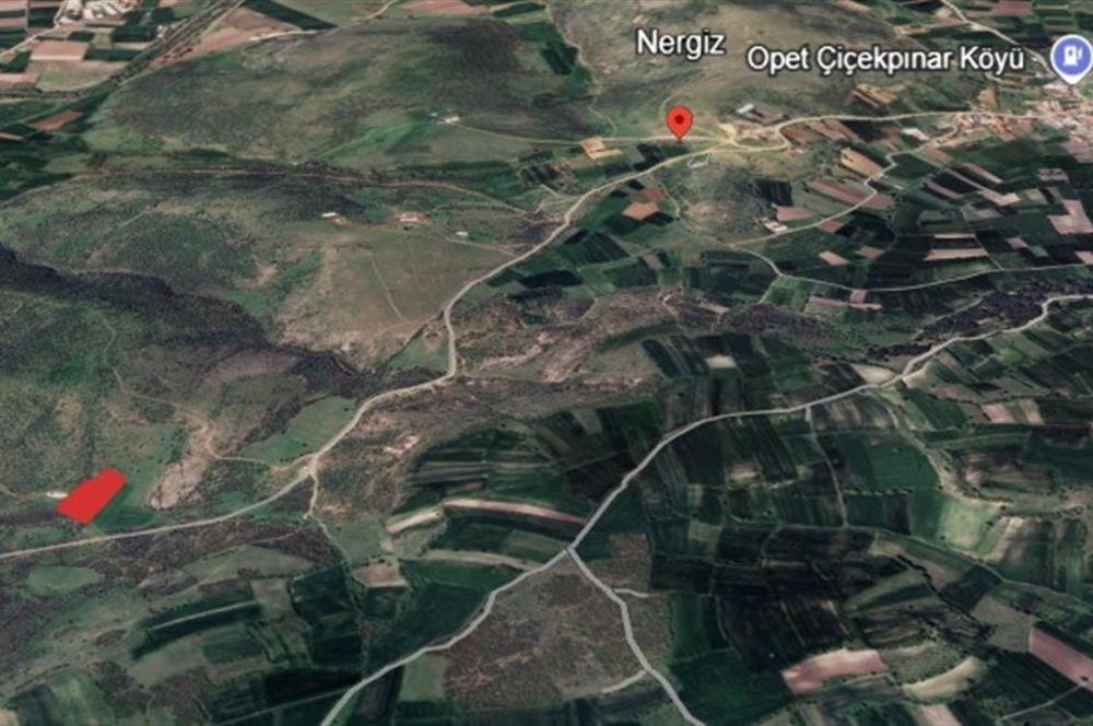 Century21 Bal'dan Altıeylül Nergiz Mahallesinde Satılık Tarla