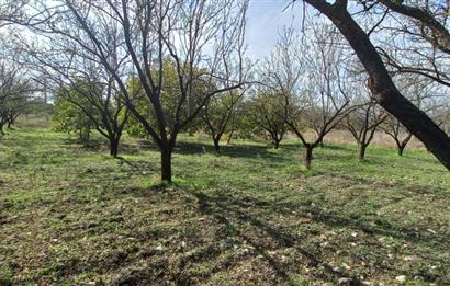 SAVAŞTEPE İSTİKLAL'DE SATILIK TARLA 