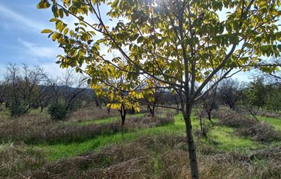 SAVAŞTEPE İSTİKLAL'DE SATILIK TARLA 