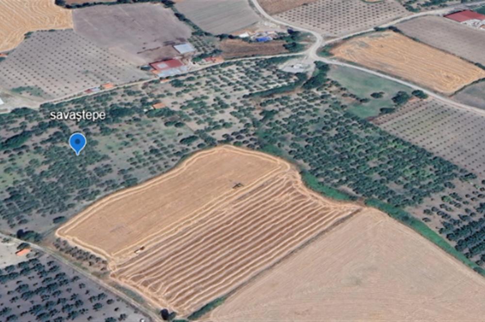 SAVAŞTEPE İSTİKLAL'DE SATILIK TARLA 