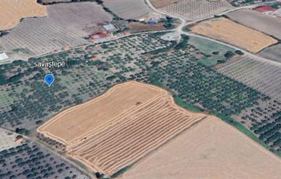 SAVAŞTEPE İSTİKLAL'DE SATILIK TARLA 