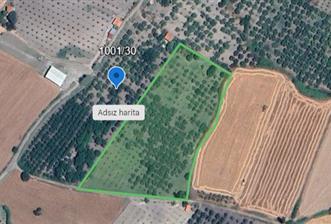 SAVAŞTEPE İSTİKLAL'DE SATILIK TARLA 