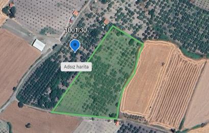 SAVAŞTEPE İSTİKLAL'DE SATILIK TARLA 