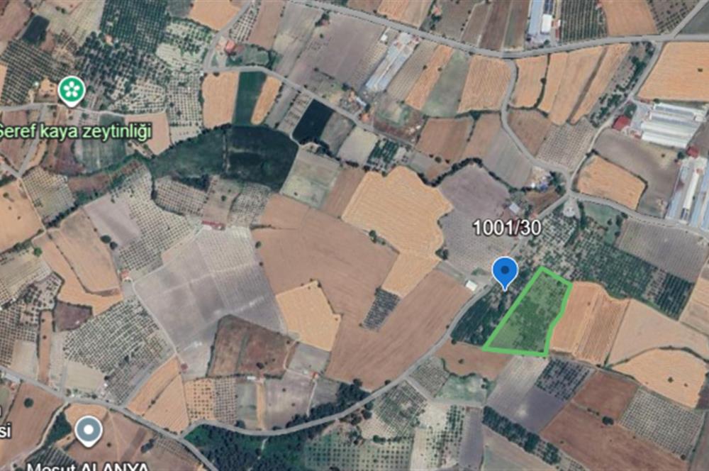 SAVAŞTEPE İSTİKLAL'DE SATILIK TARLA 