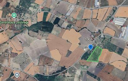 SAVAŞTEPE İSTİKLAL'DE SATILIK TARLA 