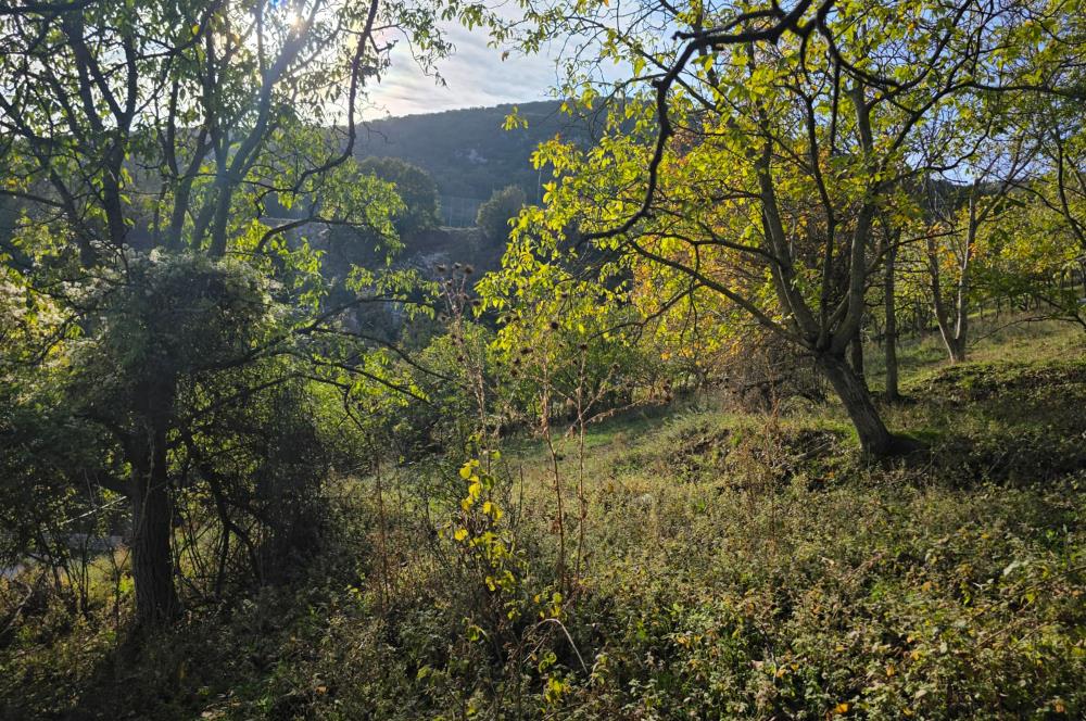 C21 Cius; Şahinyurdu'nda Muhteşem Doğa Manzaralı İmarlı Arsa