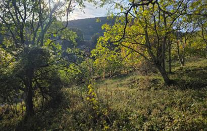 C21 Cius; Şahinyurdu'nda Muhteşem Doğa Manzaralı İmarlı Arsa