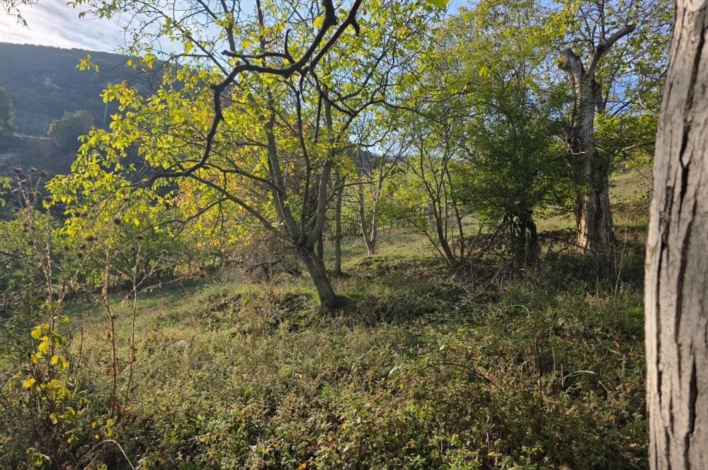 C21 Cius; Şahinyurdu'nda Muhteşem Doğa Manzaralı İmarlı Arsa