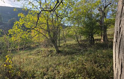 C21 Cius; Şahinyurdu'nda Muhteşem Doğa Manzaralı İmarlı Arsa