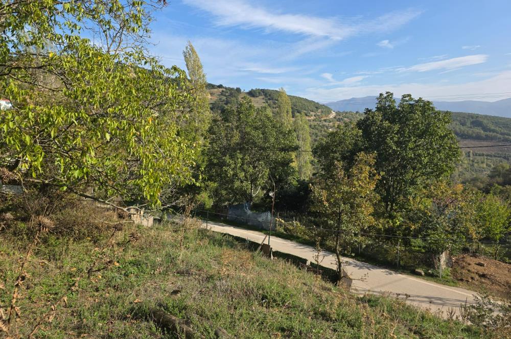 C21 Cius; Şahinyurdu'nda Muhteşem Doğa Manzaralı İmarlı Arsa