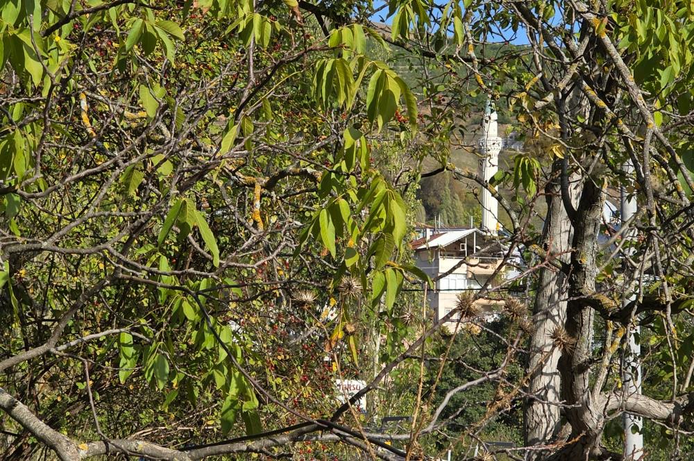 C21 Cius; Şahinyurdu'nda Muhteşem Doğa Manzaralı İmarlı Arsa