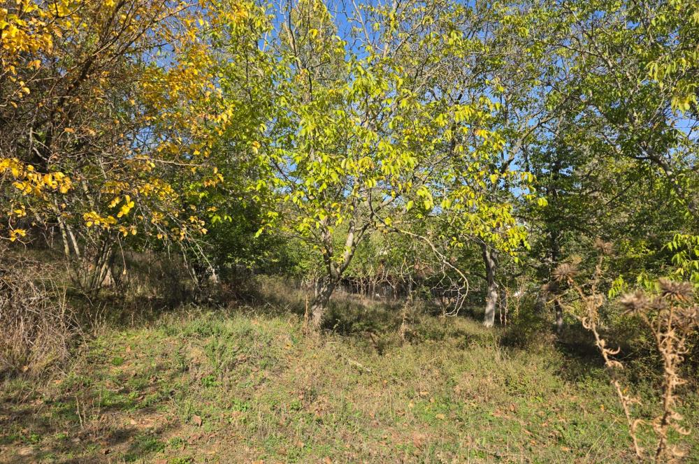 C21 Cius; Şahinyurdu'nda Muhteşem Doğa Manzaralı İmarlı Arsa