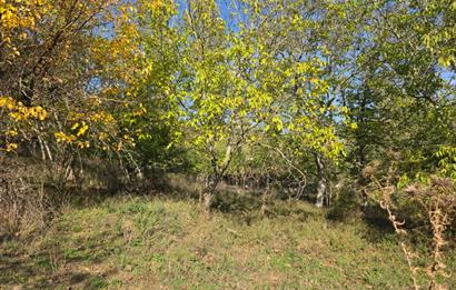 C21 Cius; Şahinyurdu'nda Muhteşem Doğa Manzaralı İmarlı Arsa