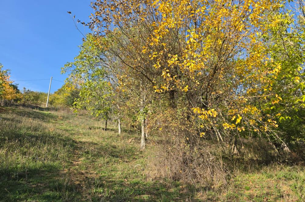 C21 Cius; Şahinyurdu'nda Muhteşem Doğa Manzaralı İmarlı Arsa