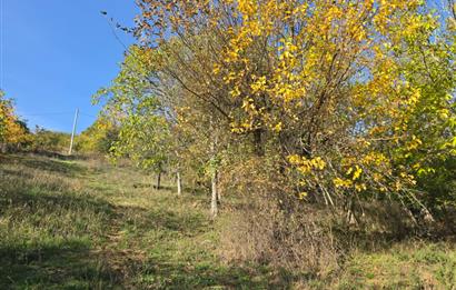 C21 Cius; Şahinyurdu'nda Muhteşem Doğa Manzaralı İmarlı Arsa