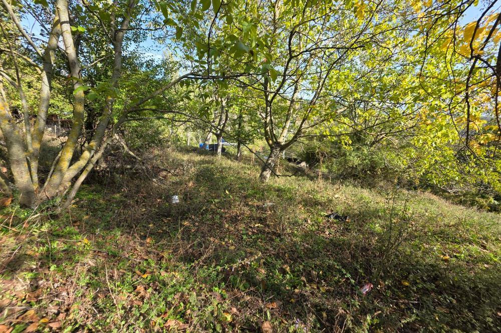 C21 Cius; Şahinyurdu'nda Muhteşem Doğa Manzaralı İmarlı Arsa