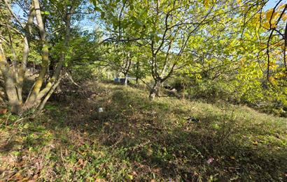 C21 Cius; Şahinyurdu'nda Muhteşem Doğa Manzaralı İmarlı Arsa