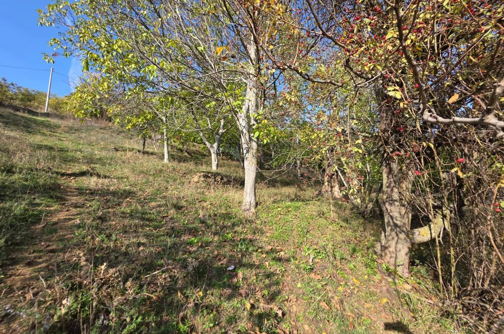 C21 Cius; Şahinyurdu'nda Muhteşem Doğa Manzaralı İmarlı Arsa