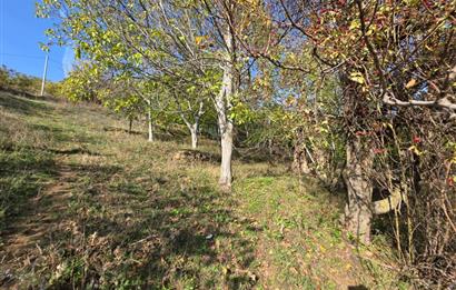 C21 Cius; Şahinyurdu'nda Muhteşem Doğa Manzaralı İmarlı Arsa