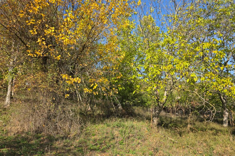 C21 Cius; Şahinyurdu'nda Muhteşem Doğa Manzaralı İmarlı Arsa