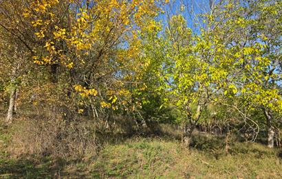 C21 Cius; Şahinyurdu'nda Muhteşem Doğa Manzaralı İmarlı Arsa