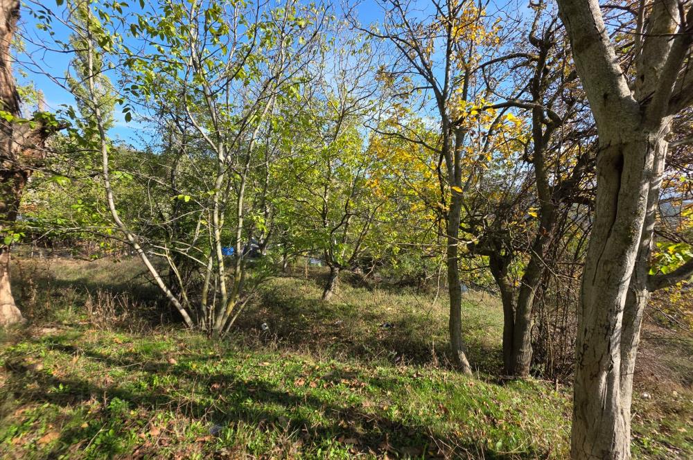 C21 Cius; Şahinyurdu'nda Muhteşem Doğa Manzaralı İmarlı Arsa