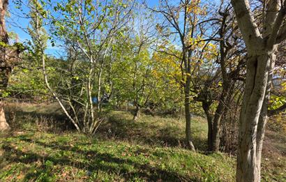 C21 Cius; Şahinyurdu'nda Muhteşem Doğa Manzaralı İmarlı Arsa