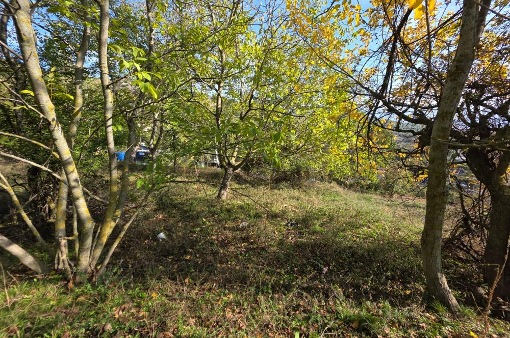 C21 Cius; Şahinyurdu'nda Muhteşem Doğa Manzaralı İmarlı Arsa