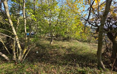 C21 Cius; Şahinyurdu'nda Muhteşem Doğa Manzaralı İmarlı Arsa