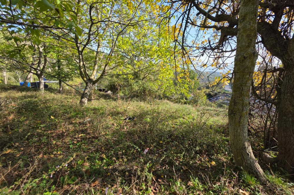 C21 Cius; Şahinyurdu'nda Muhteşem Doğa Manzaralı İmarlı Arsa