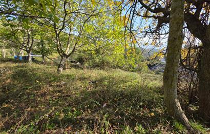 C21 Cius; Şahinyurdu'nda Muhteşem Doğa Manzaralı İmarlı Arsa