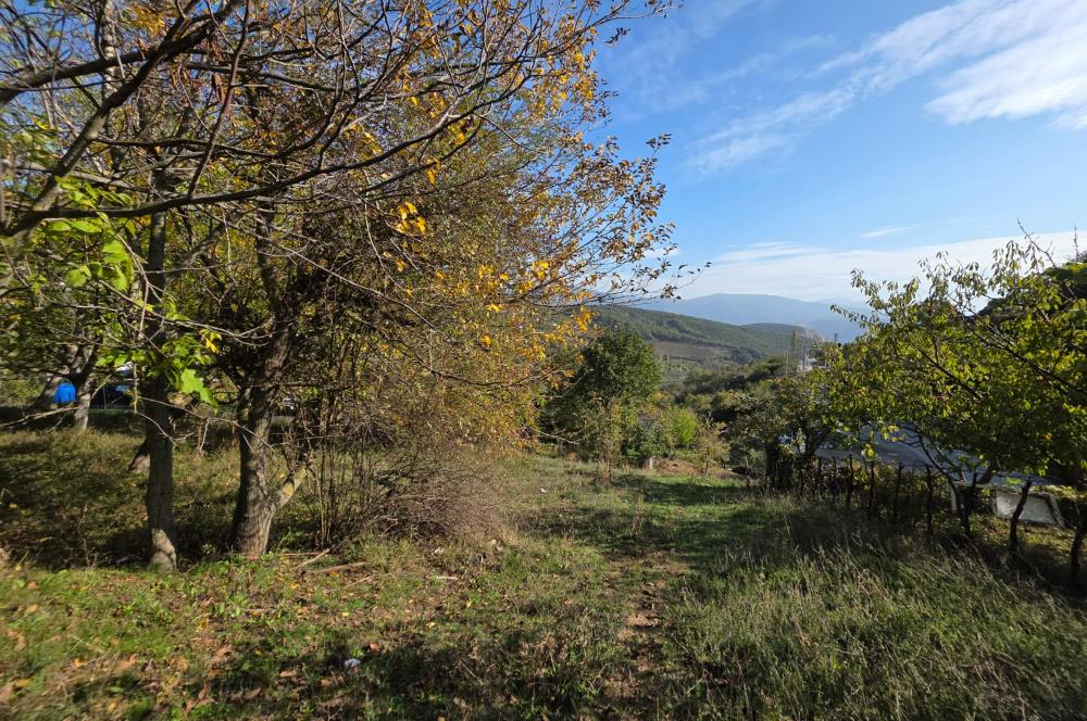 C21 Cius; Şahinyurdu'nda Muhteşem Doğa Manzaralı İmarlı Arsa