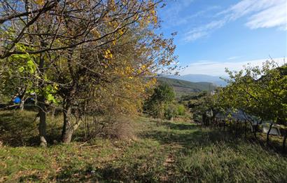C21 Cius; Şahinyurdu'nda Muhteşem Doğa Manzaralı İmarlı Arsa