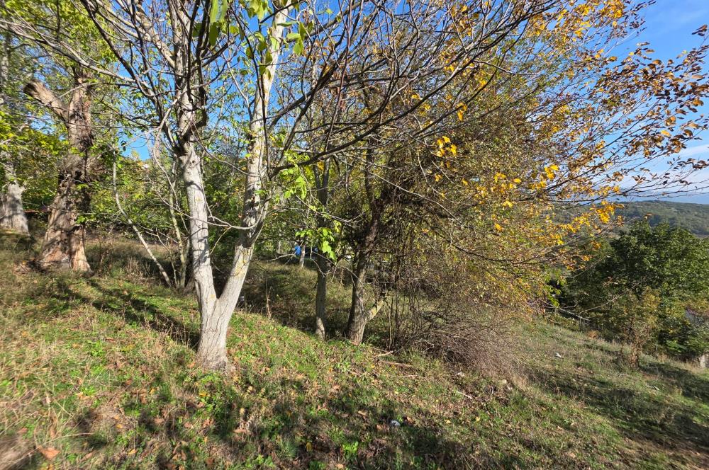 C21 Cius; Şahinyurdu'nda Muhteşem Doğa Manzaralı İmarlı Arsa