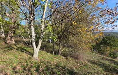 C21 Cius; Şahinyurdu'nda Muhteşem Doğa Manzaralı İmarlı Arsa