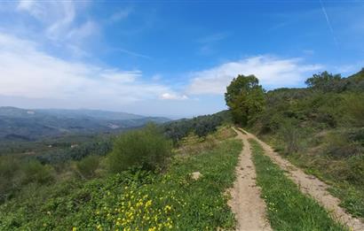 C21 Cius; Gemlik Katırlı'da Uludağ ve Deniz Manzaralı Tarla
